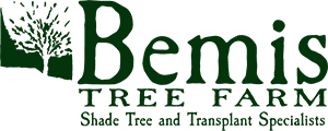 Bemis Tree Farm Logo